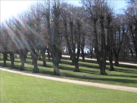KHIZAN KE PHOOL PE AATI BY MALIK SHERWANI