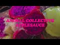 Animal Collective - Applesauce