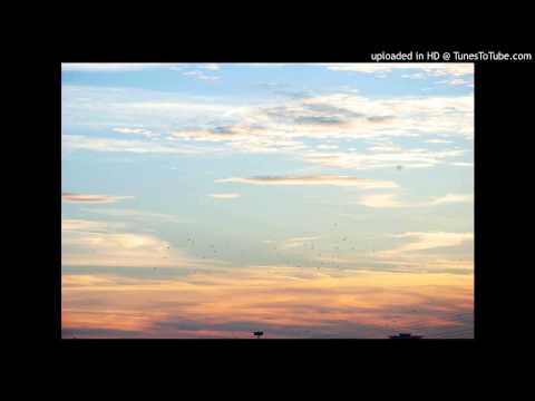 Tout Ce Bleu Video