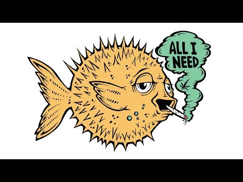 All I Need   Hustle Passion   Puffer Fish
