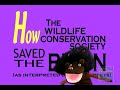 Thundering Plains: How the Wildlife Conservation Society...