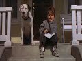 The Little Rascals
