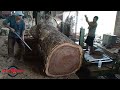 Dangerous Biggest Wood Cutting