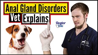 THIS Is Why Your Dog Has Anal Gland Disease And Here Is How You Can Treat It | V