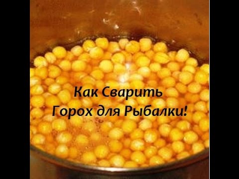 как сварить горох с манкой на рыбалку как сварить горох с манкой на рыбалку