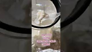How To Make Plant Based Almond Milk Kefir