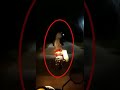 Ini kejadian di hutan ludoyo blitar bnrn g ya 😨