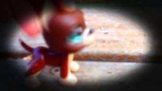 Copy of "Stamp on the Ground" Fan Video Lps mv
