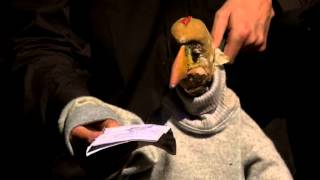 Vorschaubild Michael Hatzius - Die Echse