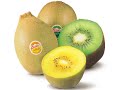 planter les kiwis