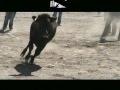 Risas, sustos, corretizas y revolcones (Pamplonada en Tlaxcala) Elías Ruvalcaba
