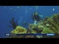 2016 04 08 France 3 - AGN2016 - Les plongeurs augmentent en Haute Vienne 2016 04 08 France 3 - AGN2016 - Les plongeurs augmentent en Haute Vienne