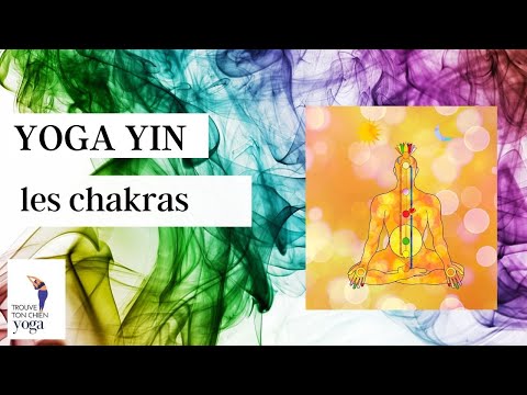 Yin Yoga- Les Chakras