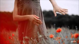 Simple Gifts Yo Yo Ma And Alison Krauss Simple Gifts Yo Yo Ma And Alison Krauss