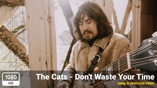 Watch Cats Dont Waste Your Time video