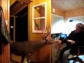 Man Feeds Deer in his House