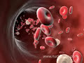 3D Medical Animation: Antibody Immune Response