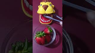 Strawberry Fruit & Lion Tricky Eating