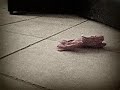tacchi senza slip