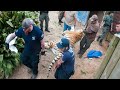 Dangerous Roadside Zoo Rescue