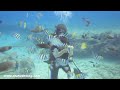 Koko Crators in Hawaii with Oahu Diving