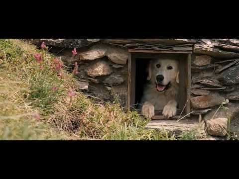 Watch Now Belle et Sébastien  Free Streaming In 720p