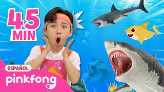 Escapémonos Con Hoi Son Tiburones Popó De Arcoíris Mono Banana Pinkfong En Español