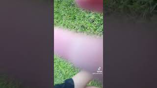 Throwing A Rock At The House