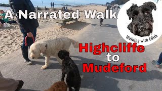 Summary of a narrated walk from Highcliffe to Mudeford with Edith the miniature schnauzer.