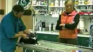 Smile...You're on Candid Camera with Dr. Manobla!