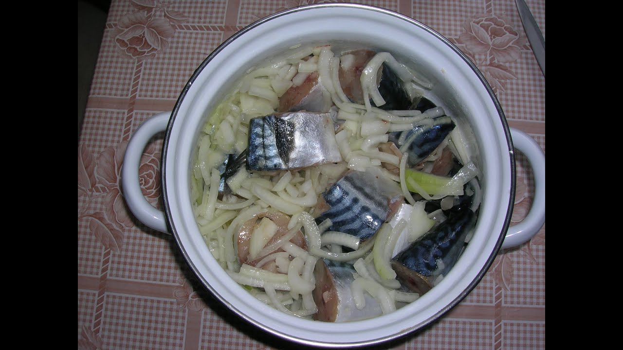Как вкусно запечь скумбрию в домашних условиях вкусно Как вкусно запечь скумбрию в домашних условиях вкусно