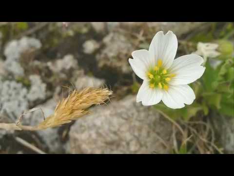 Природа и мы! Украина