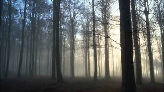 Watch Elffor Entrance To The Fog video