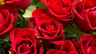 Watch Jim Reeves Roses video