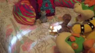 The chicken nugget - super mucinex Alli