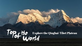 Live: Top of the World - Explore the Qinghai-Tibet Plateau深入亚洲心脏-青藏高原