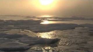 The Call Of The Arctic