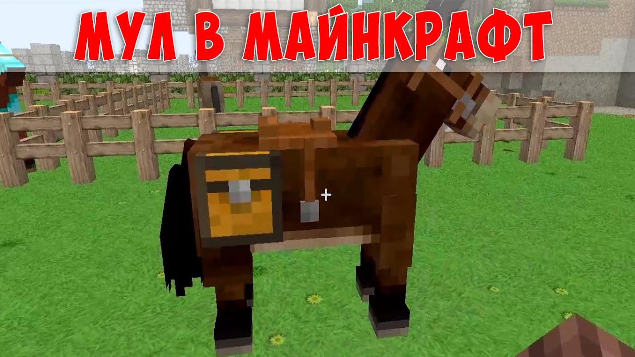 Как сделать собаку в майнкрафте без модов Как сделать собаку в майнкрафте без модов