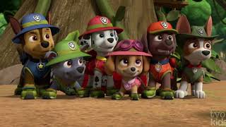 Paw Patrol Cirque Spirit Of Christmas