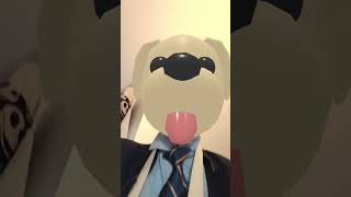 Dogeeeeeee