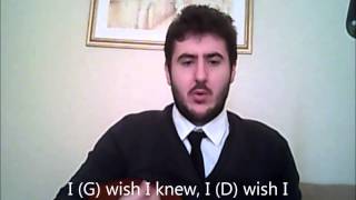 Watch Silver Jews Death Of An Heir Of Sorrows video