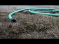 California regulators could fine $500 a day under water-wasting proposal
