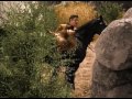 Zorro S01E11 - Dupla galiba Zorro miatt - magyar szinkronnal (teljes)