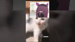 Agh Agh Agh Cat