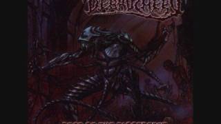 Watch Debauchery Chainsaw Masturbation video