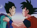 Gohan si arrabbia con Goku per il bacio di Videl.