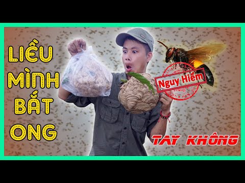 VÒ VẼ, Tay Không Với 1 Mẹo | Dễ Dàng ẴM 3 Tổ.