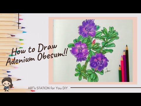 เทคนิควาดดอกชวนชมฮอลแลนด์ l How to draw Adenium Obesum Desert Rose colour it l ART's STATION