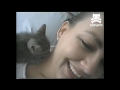 Kitten gives a woman hicky