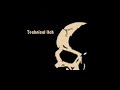Technical Itch - The Ring
